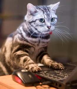 Screen Shot 2015-08-15 at 8.32.37 PM